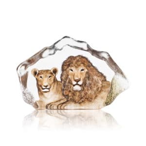 Mats Jonasson - Lions
